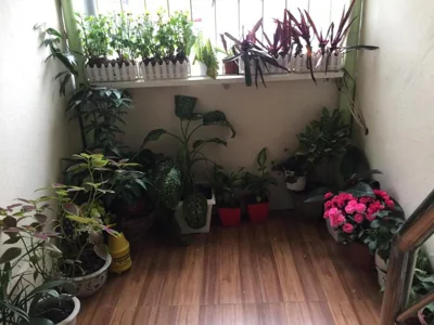 Cozy Homestay – Fotos 5